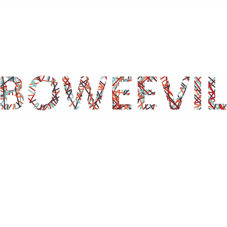 Bo Weevil