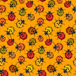 Hazeltjes Ladybird orange  organic summersweat