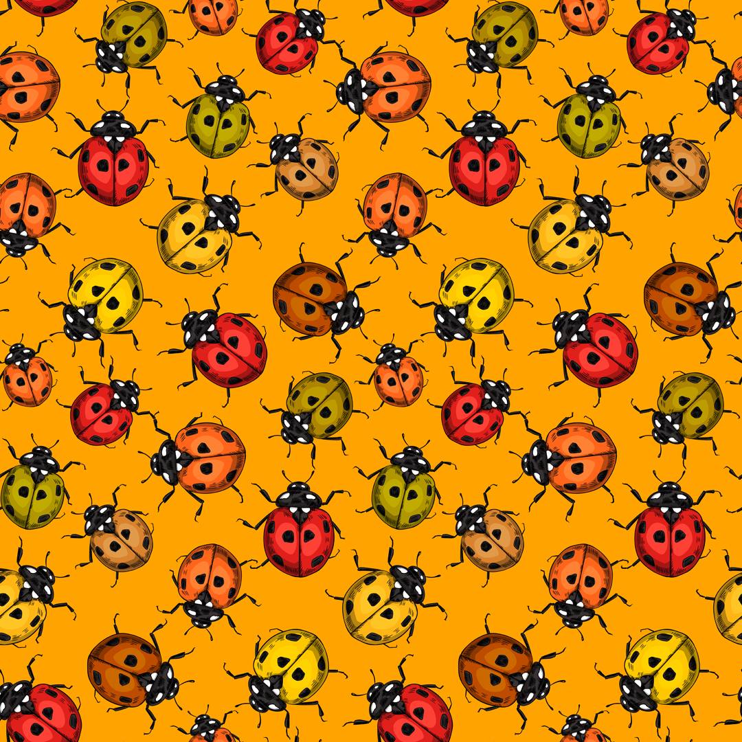 Hazeltjes Ladybird orange organic summersweat