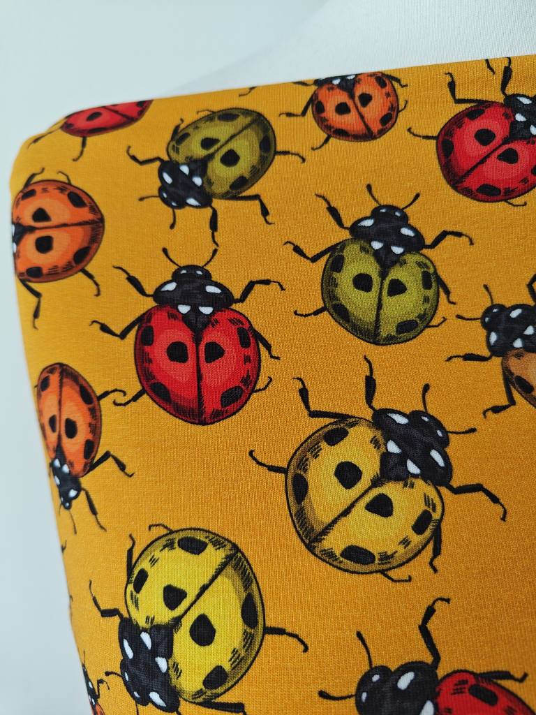 Hazeltjes Ladybird orange organic summersweat - Image 3