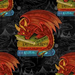 Pre-order Hazeltjes  Baby Smaug Books black  organic jersey,November 2025