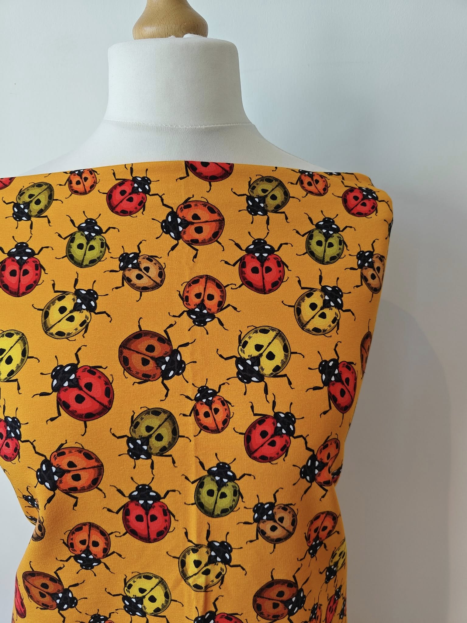 Hazeltjes Ladybird orange organic summersweat - Image 5