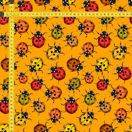 Hazeltjes Ladybird orange organic summersweat - Image 2